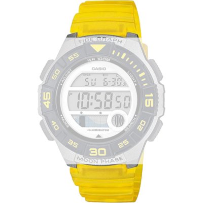 Casio 10592727 Collection Women Pasek