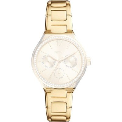 Fossil ABQ3722 Eevie Pasek