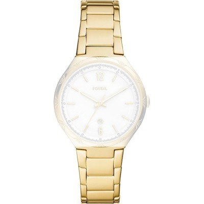 Fossil ABQ3740 Ashtyn Pasek