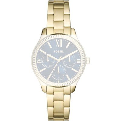 Fossil ABQ3964 Rye Pasek