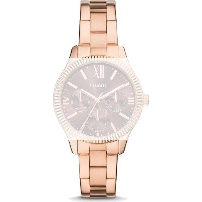 Fossil ABQ3969 Rye Pasek